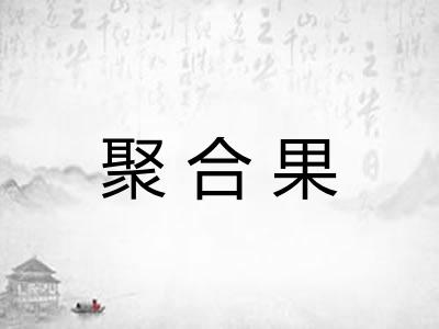 聚合果