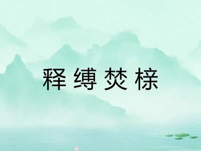 释缚焚榇