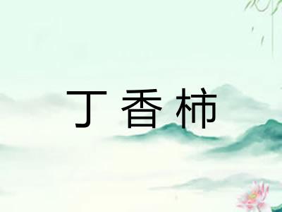 丁香柿