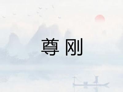 尊刚