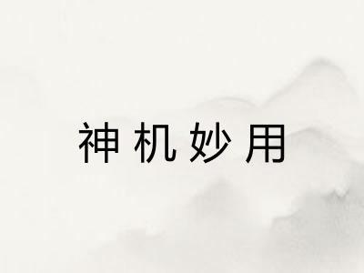 神机妙用