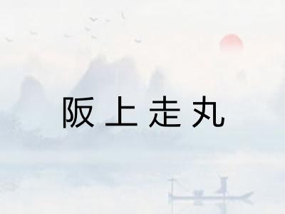 阪上走丸