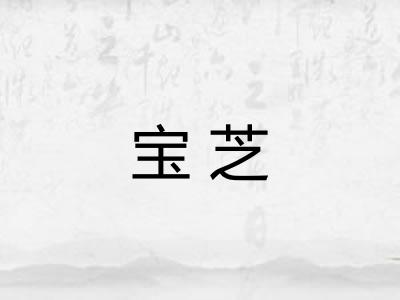 宝芝