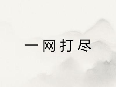 一网打尽