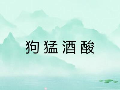 狗猛酒酸