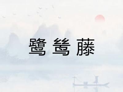 鹭鸶藤