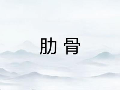 肋骨