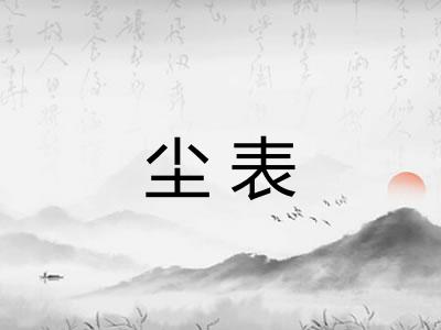 尘表
