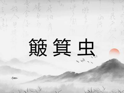 簸箕虫