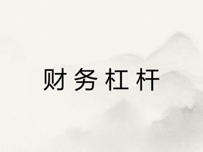 财务杠杆