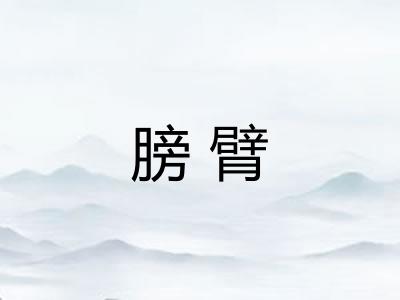 膀臂