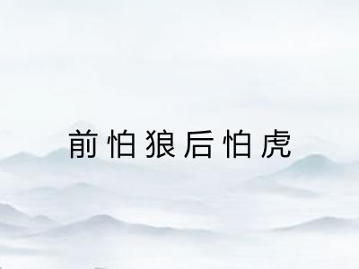 前怕狼后怕虎
