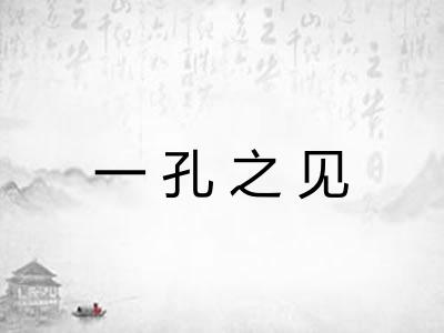 一孔之见