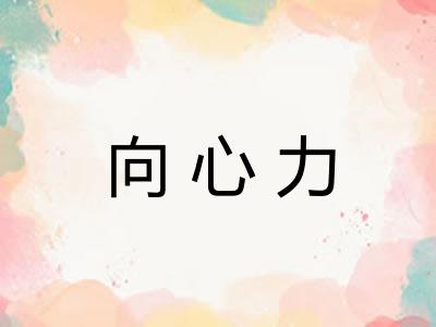 向心力