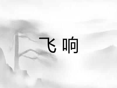 飞响