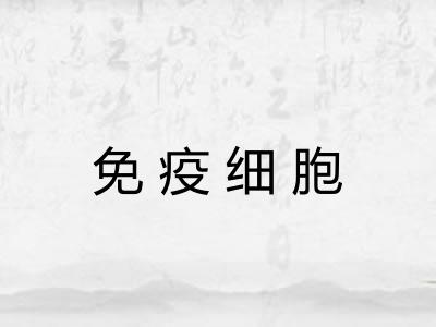 免疫细胞