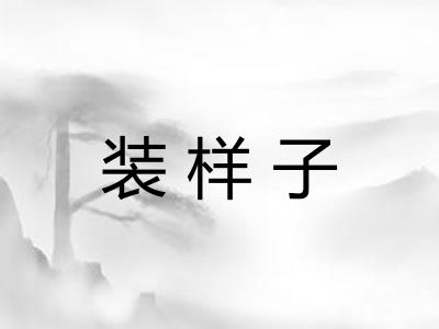 装样子