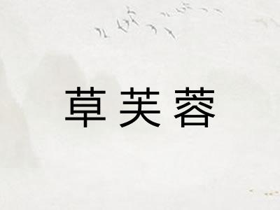 草芙蓉