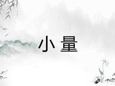 小量