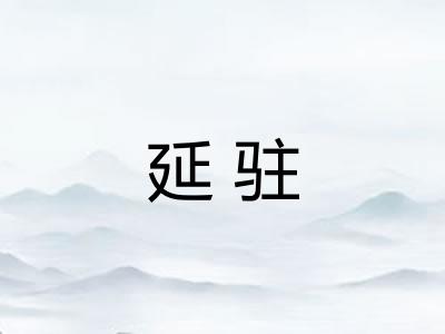 延驻
