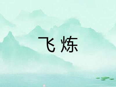 飞炼