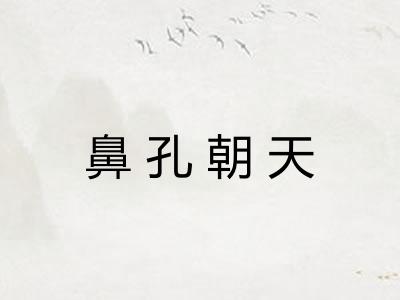 鼻孔朝天