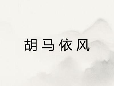 胡马依风