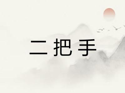 二把手