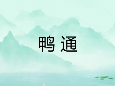 鸭通
