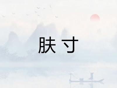 肤寸