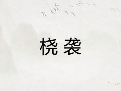 桡袭