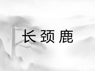 长颈鹿