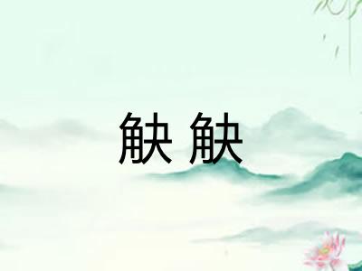 觖觖