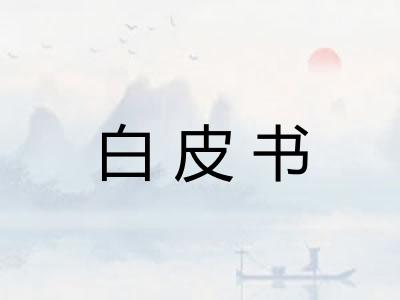白皮书