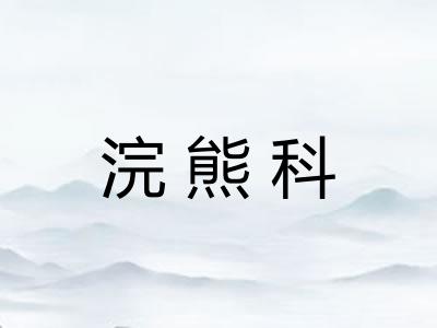 浣熊科