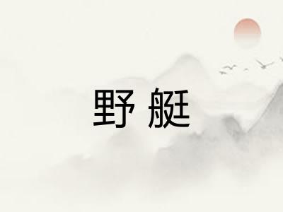 野艇