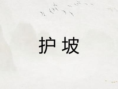 护坡