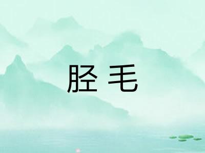 胫毛