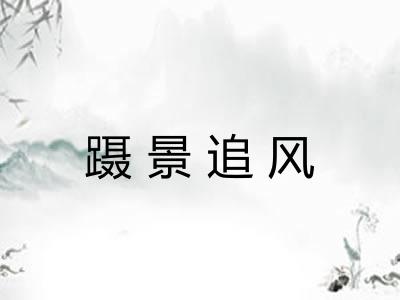 蹑景追风