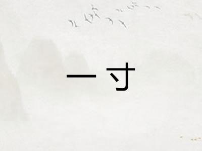 一寸