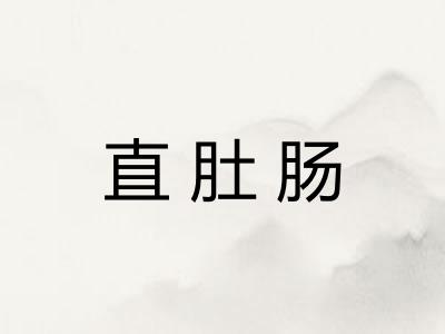 直肚肠