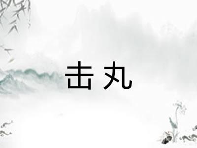 击丸