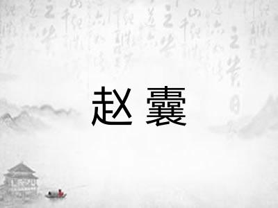 赵囊