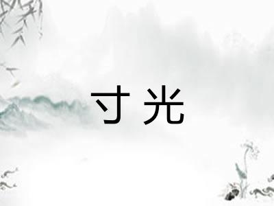 寸光
