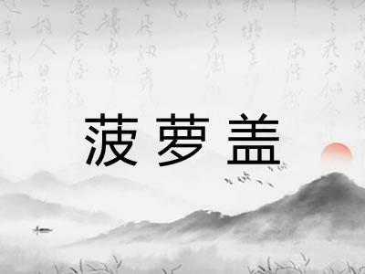 菠萝盖