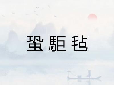 蛩駏毡