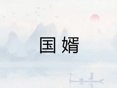 国婿