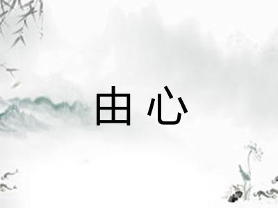 由心