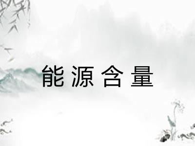 能源含量