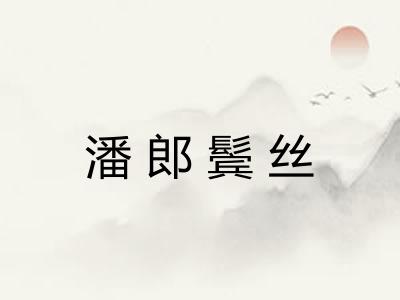 潘郎鬓丝